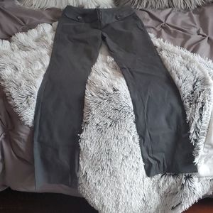 The Limited Dress Pants